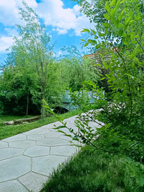 春天别墅社区寂静无人的林荫小路