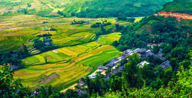 美丽的农田图片