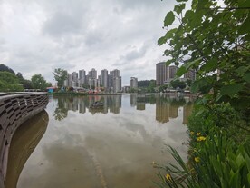 公园人工湖