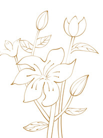 花线稿简笔画线条元素