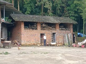 悠闲时刻