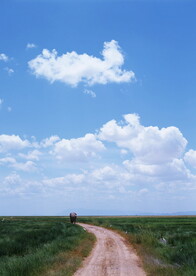 湛蓝的天空    