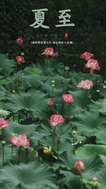 夏至