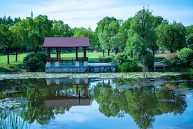  园林景观 湖水 公园一角 