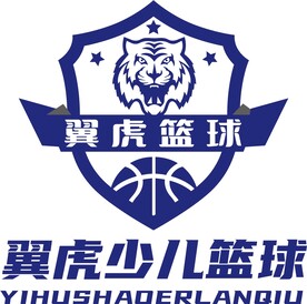 翼虎少儿篮球