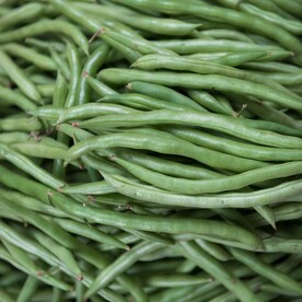 缸豆