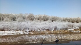 庄浪河