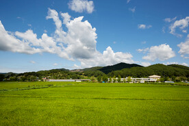 户外草原平原自然景观