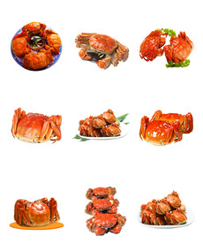 大闸蟹素材