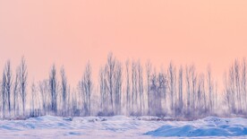 冬天的雪景