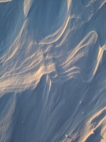 雪地摄影