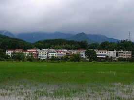烟雨