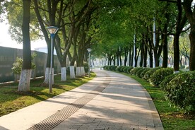 路荫