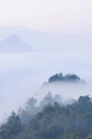 高山云雾