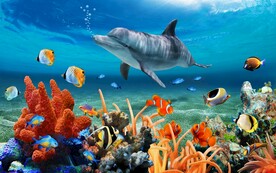 海底世界海豚图案