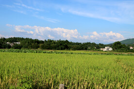 田园风光