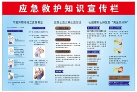 应急救护知识宣传栏