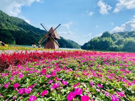 花海