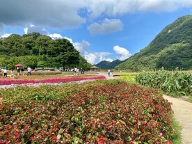 风景