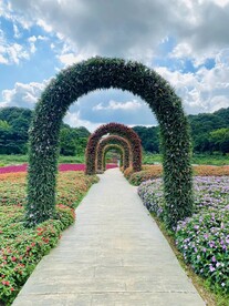 公园美景