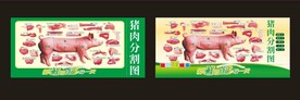 猪肉分割图