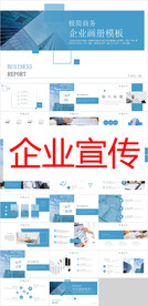 商业策划PPT        