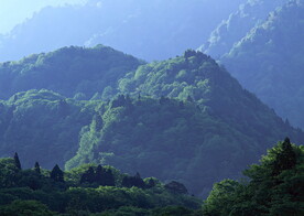 怡人自然风景    