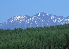怡人自然风景    