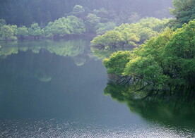山涧溪流         