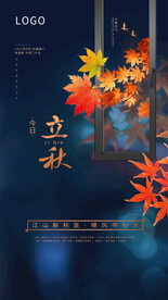 节气海报
