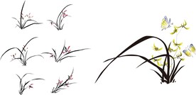 兰花