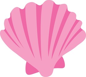 贝壳