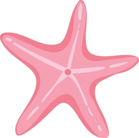 海星