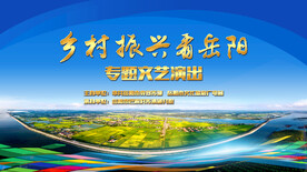 乡村振兴晚会