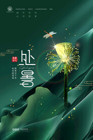 残荷意境处暑节气海报