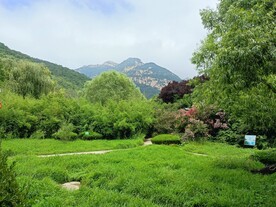 天外村风景