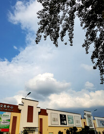 夏日天空