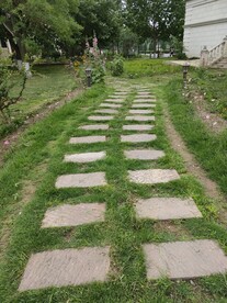 石板路草丛绿草地小路