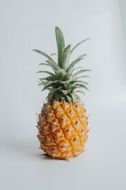 菠萝