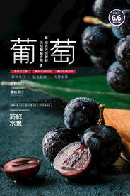 葡萄海报