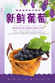 葡萄海报
