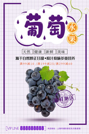 葡萄海报