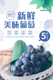葡萄海报
