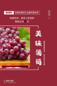 葡萄海报