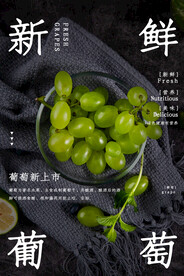 葡萄海报