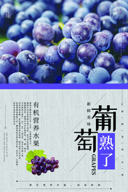 葡萄海报