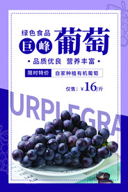 葡萄海报