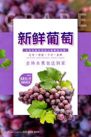 葡萄海报