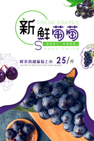 葡萄海报