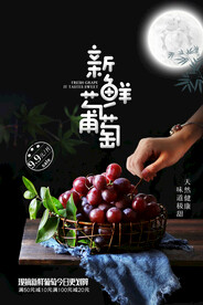 葡萄海报